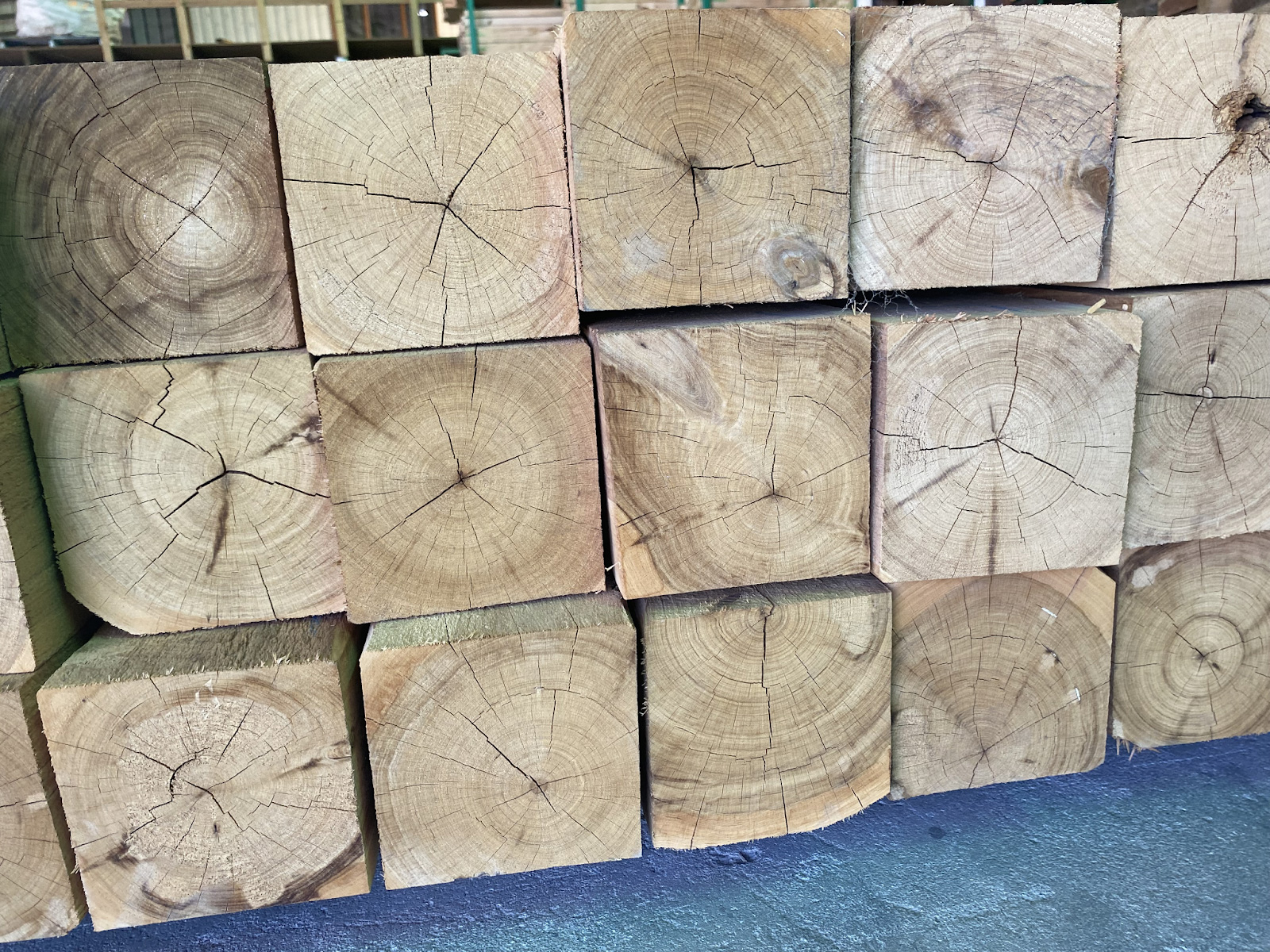 Cypress Pine F7 125x125