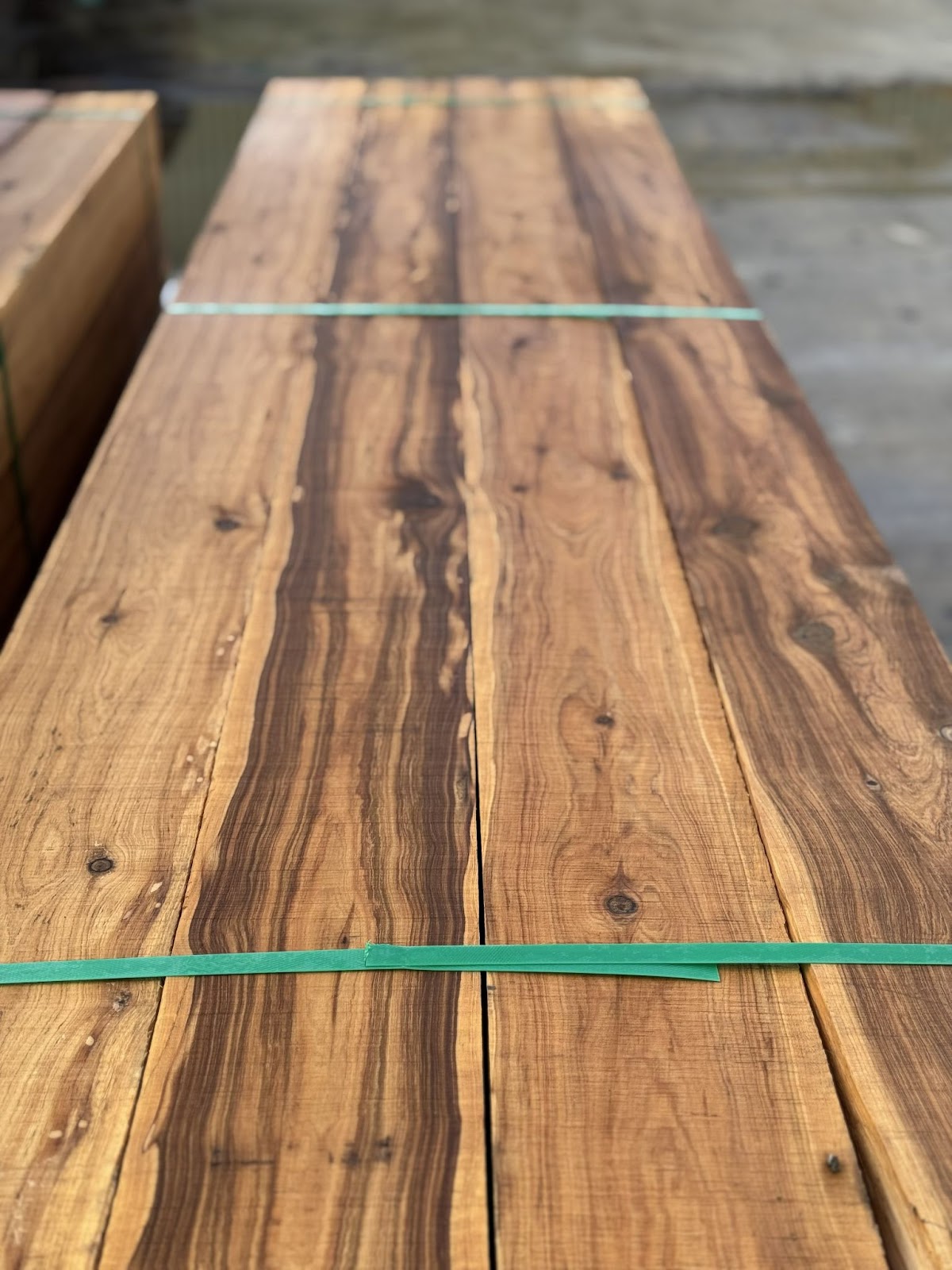 Cypress Pine F7 150x150