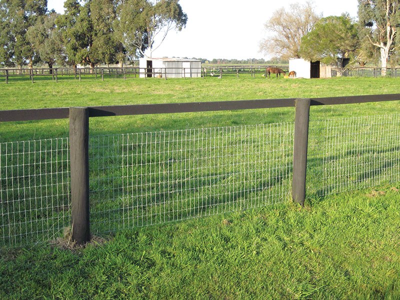 Horse Fence