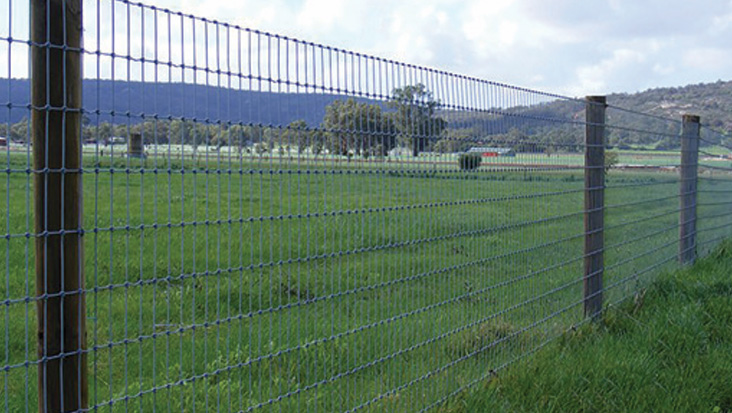 Southern Wire Horse Fence
